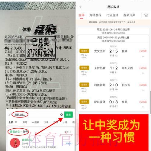 全面剖析世界杯竞猜平台：用户口碑与挑选指南